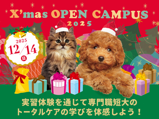 X’masオープンキャンパスの画像