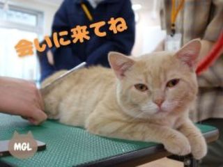 【全学年対象★】選べる!体験実習オープンキャンパス開催!の画像