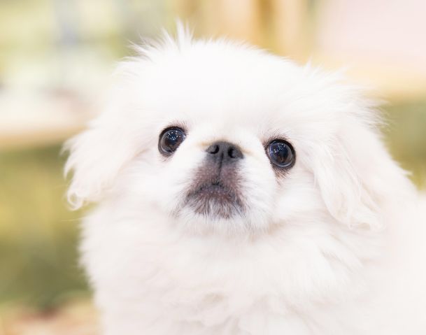 施設・設備のポイント 写真1