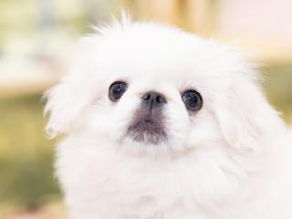 施設・設備のポイント 写真1