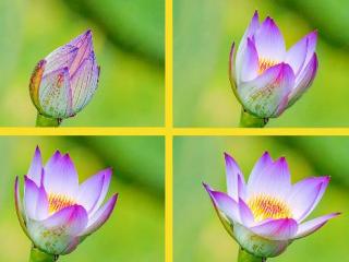  千里金蘭大学からのニュース画像[12988]