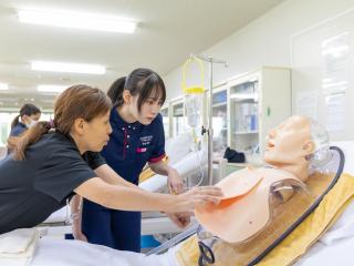 注目のカリキュラム