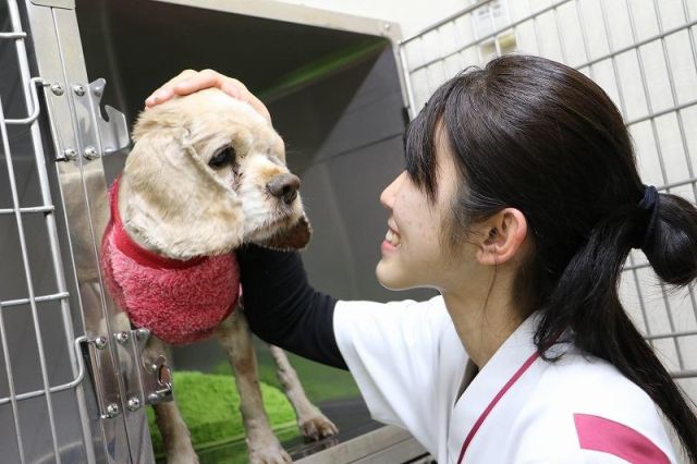 施設・設備のポイント 写真2