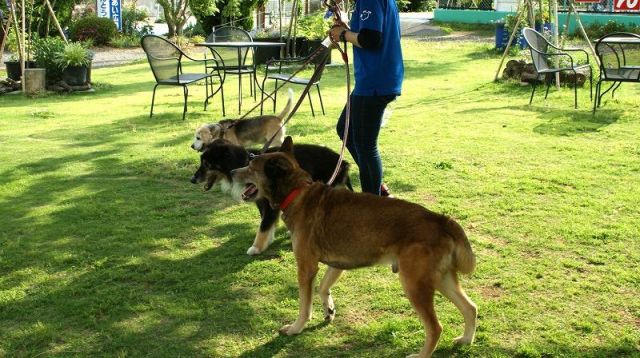 施設・設備のポイント 写真3