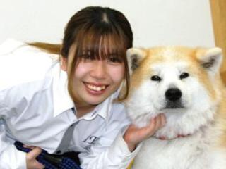 担当犬体験(日常しつけ編)の画像
