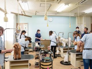 プロの現場で使用されているものと同様の施設・設備がここに!即戦力を育てる本校ならではの環境