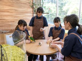まるで本物！？アニマルカフェ実習室
