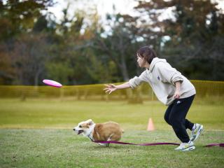 授業では学べないことも豊富なスペシャルカリキュラムで学習！
