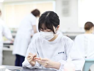 注目のカリキュラム