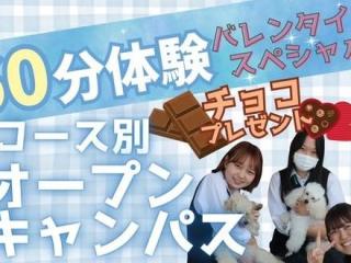 コース別オープンキャンパス～バレンタインスペシャル～の画像