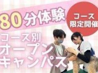 コース別オープンキャンパス～コース限定開催～の画像