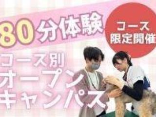 コース別オープンキャンパス～コース限定開催～の画像