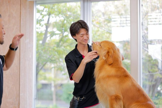 動物管理科 トリマーコース たくさんの犬と学び 「犬」と「人」を幸せにするプロのトリマーを目指す！