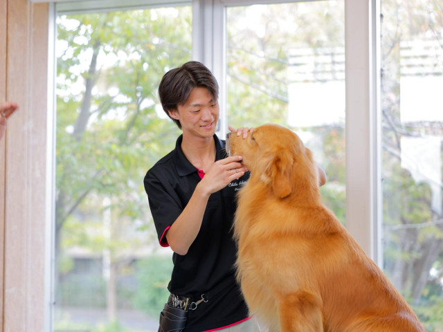 動物管理科 トリマーコース たくさんの犬と学び 「犬」と「人」を幸せにするプロのトリマーを目指す！