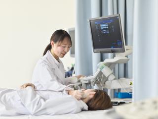 注目のカリキュラム