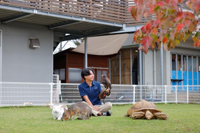動物管理科 動物飼育コース 多彩な動物を扱い動物全般を総合的に学び、飼育のプロになる！