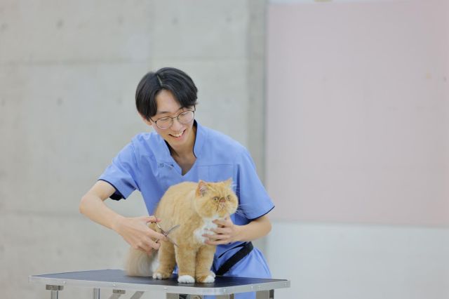 動物管理科 キャットプロコース 全国でも数少ない専門コースで猫のプロフェッショナルを目指す！