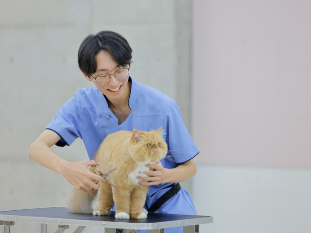 動物管理科 キャットプロコース 全国でも数少ない専門コースで猫のプロフェッショナルを目指す！