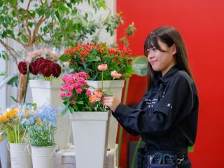 注目のカリキュラム