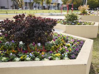 注目のカリキュラム