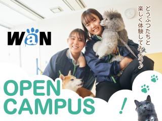オープンキャンパスの画像