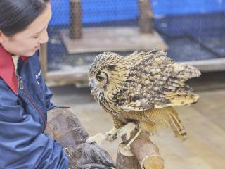 ★まるで動物園、水族館！たくさんの動物たち★