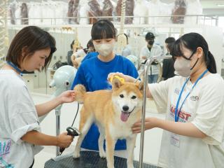 【ＪＢのオープンキャンパス】の画像