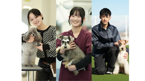 高崎動物専門学校
