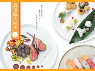 調理師技術科学部・学科・コース情報
