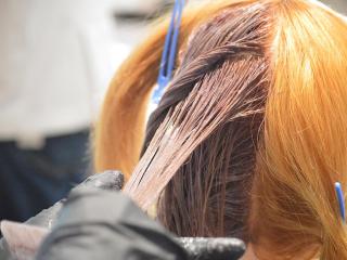 注目のカリキュラム