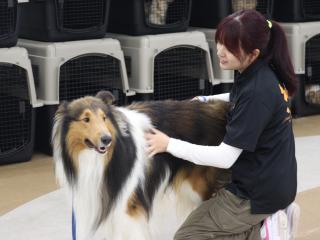 ペット専用実習棟