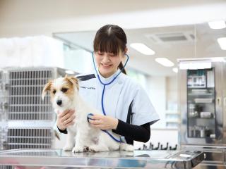 愛玩動物看護科学部・学科・コース情報