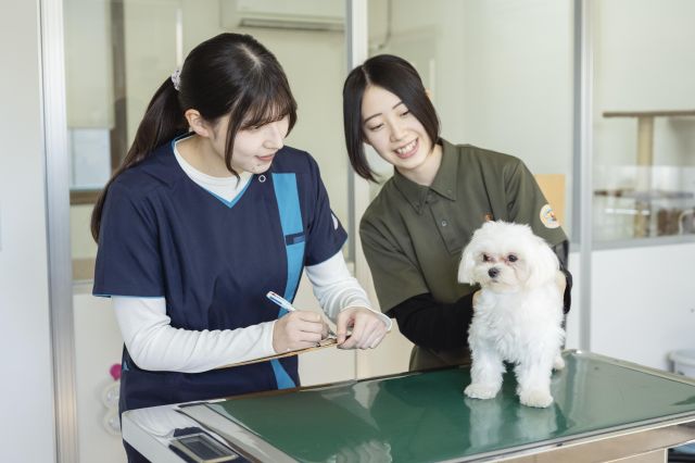 中央動物看護専門学校