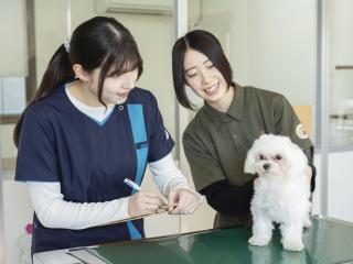 中央動物看護専門学校
