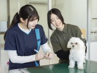 中央動物看護専門学校