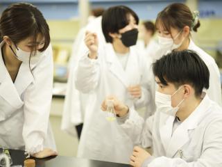 薬学部学部・学科・コース情報