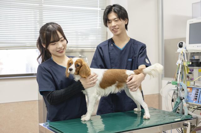 動物看護学科 「国家試験も、現場も。どちらも強い愛玩動物看護師へ」