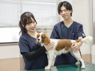 動物看護学科学部・学科・コース情報