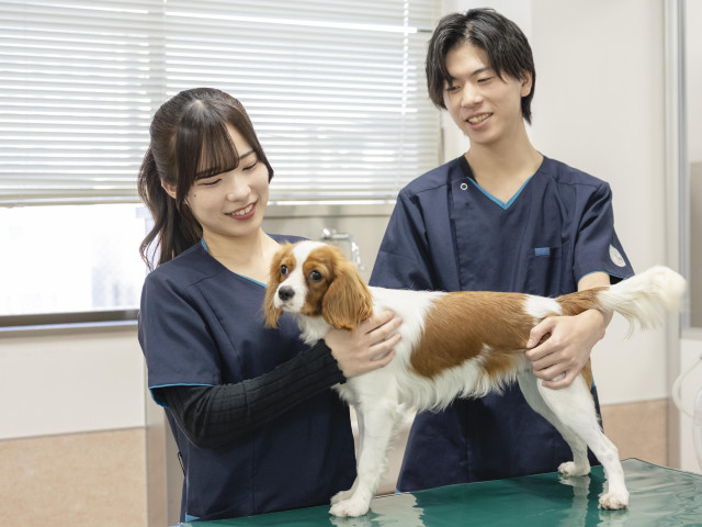 動物看護学科 「国家試験も、現場も。どちらも強い愛玩動物看護師へ」