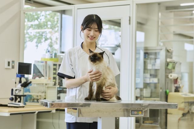 動物看護師学科 150種300頭羽の動物たちの健康管理をする