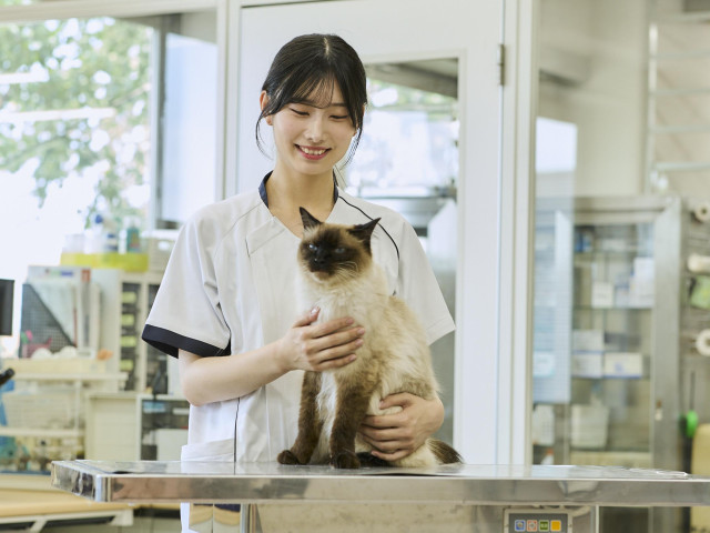 動物看護師学科 150種300頭羽の動物たちの健康管理をする