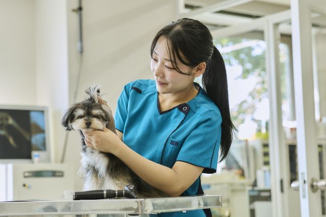 動物医療飼育学科（希少生物保全コース/愛玩動物看護師コース） 動物医療飼育学科(希少生物保全コース/愛玩動物看護師コース)