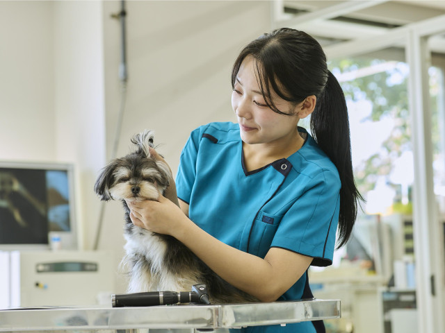 動物医療飼育学科（希少生物保全コース/愛玩動物看護師コース） 動物医療飼育学科(希少生物保全コース/愛玩動物看護師コース)