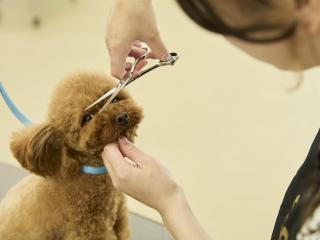 注目のカリキュラム