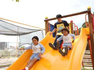 学部・学科・コース情報