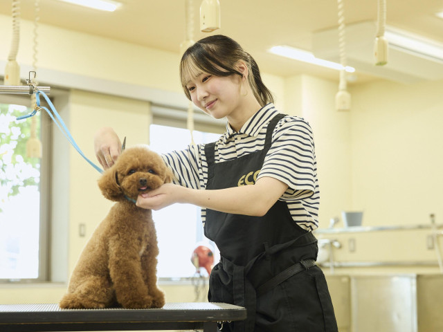 総合ペット学科 トリマー 犬たちと向き合い、スペシャリストとしてのトリマーへ