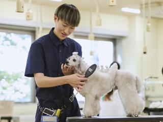 注目のカリキュラム