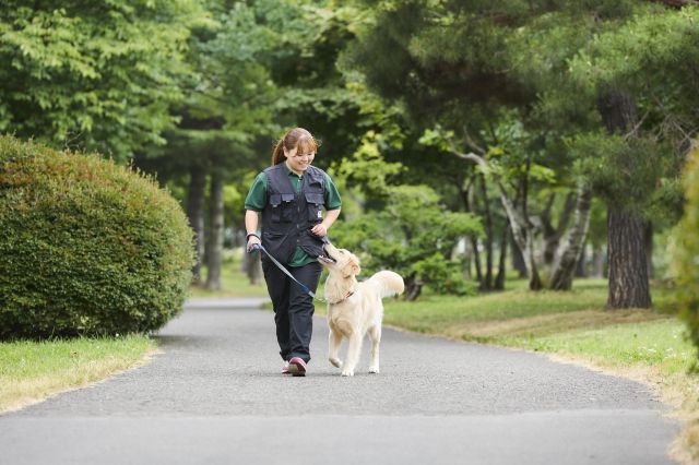 総合ペット学科 ドッグトレーナー あらゆる現場で活躍できるドッグトレーナーへ
