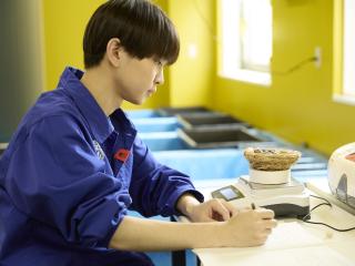 注目のカリキュラム