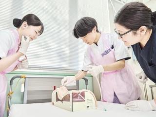 注目のカリキュラム